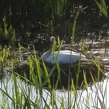 Stor Midt I By. アパート Sønderborg